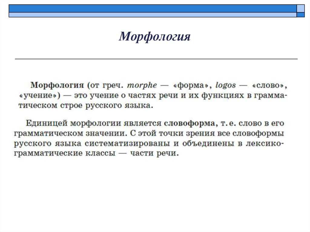 Морфология