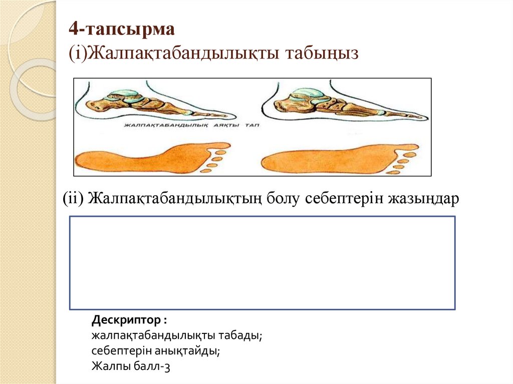 4-тапсырма (і)Жалпақтабандылықты табыңыз