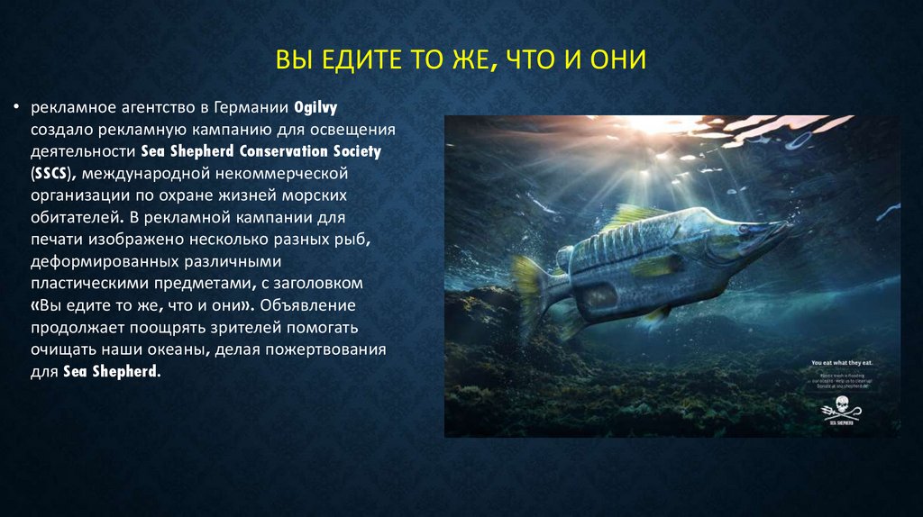 Вы едите то же, что и они