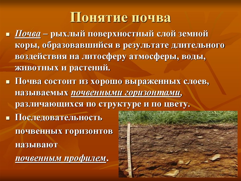 Понятие почва