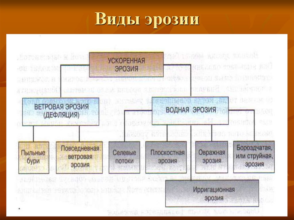Виды эрозии