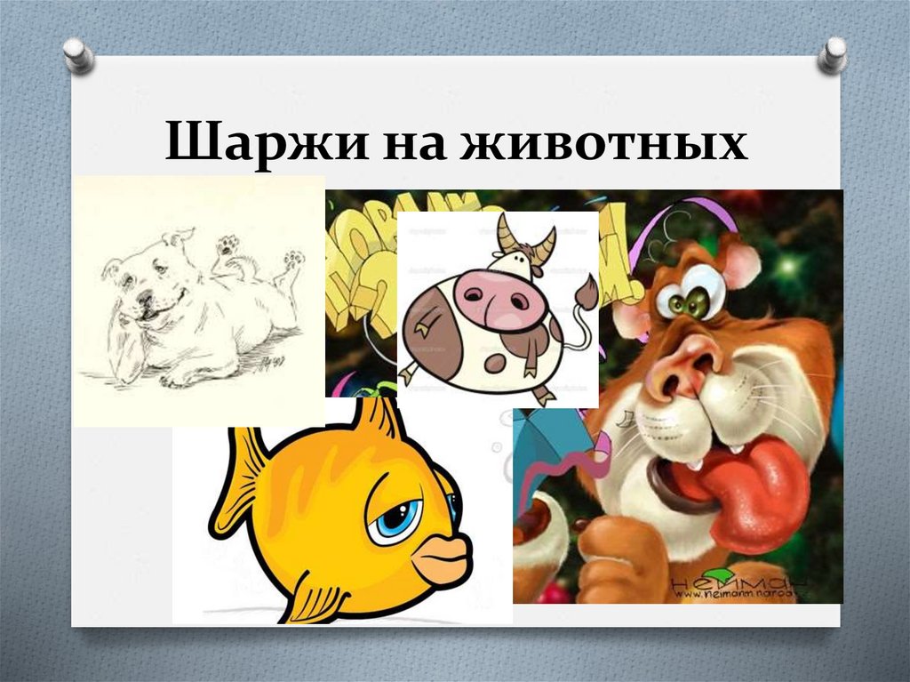 Шаржи на животных