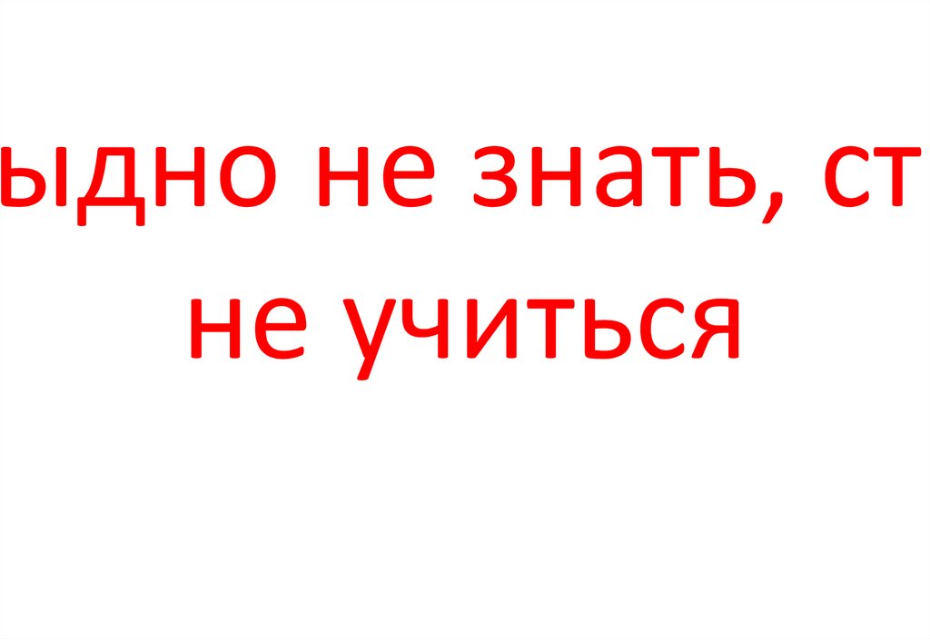 Не стыдно не знать, стыдно не учиться