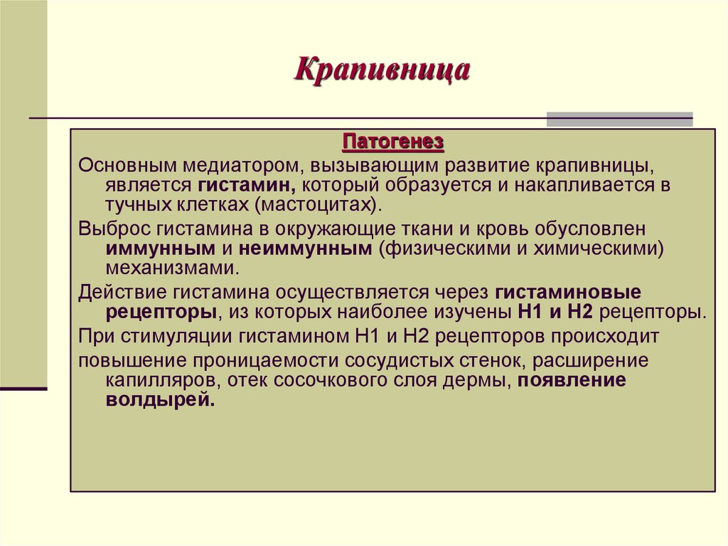 Крапивница