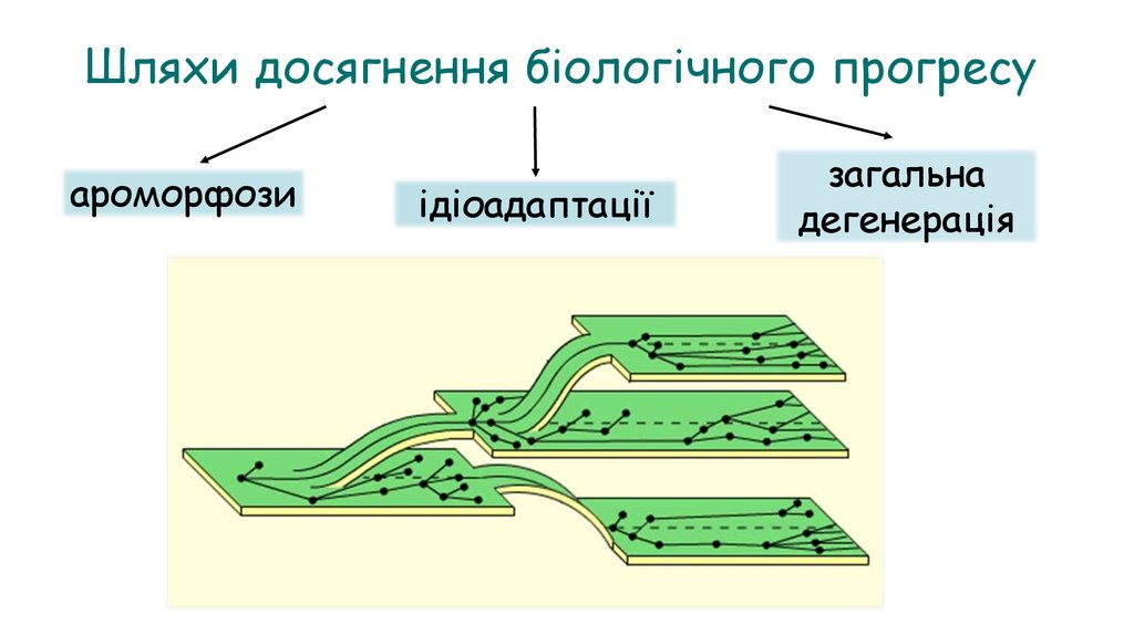 Шляхи досягнення біологічного прогресу