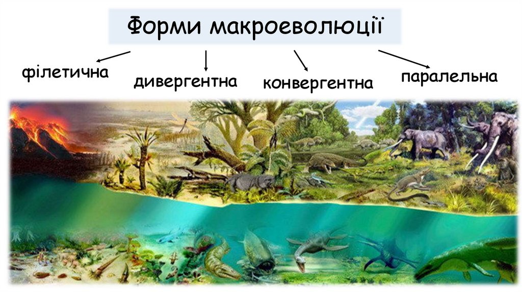 Форми макроеволюції