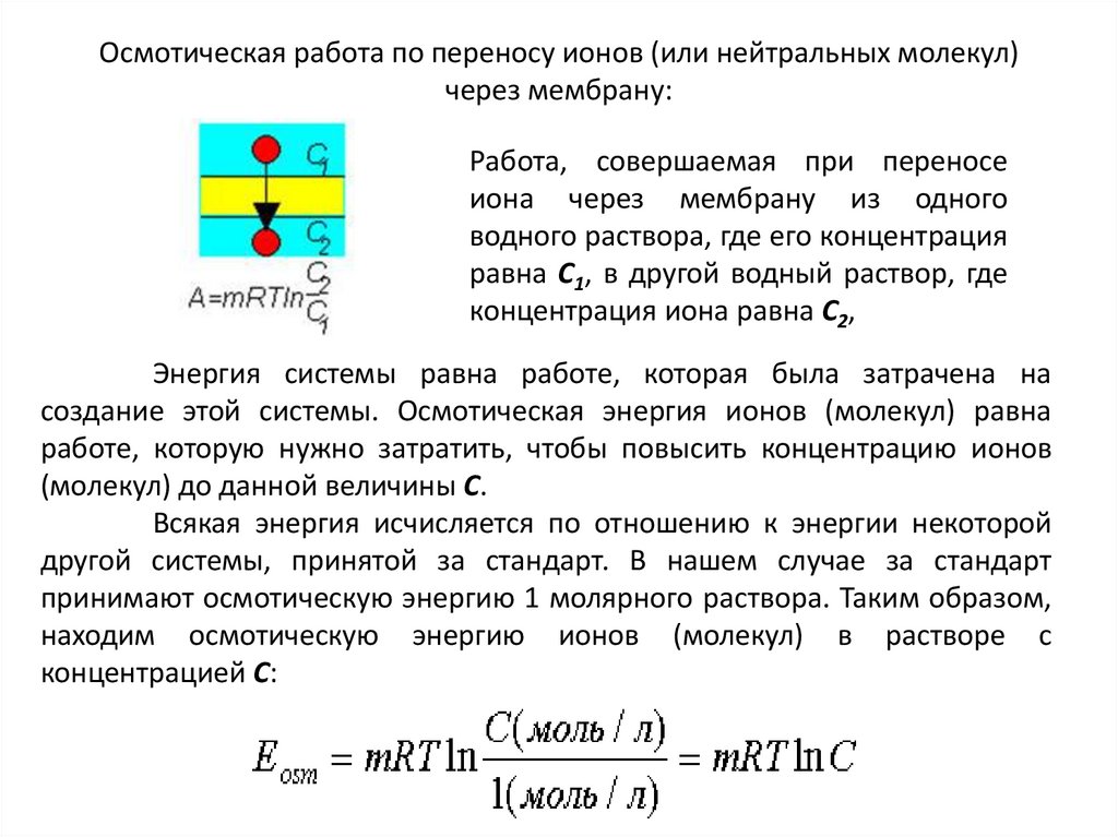 Осмотическая работа по переносу ионов (или нейтральных молекул) через мембрану:
