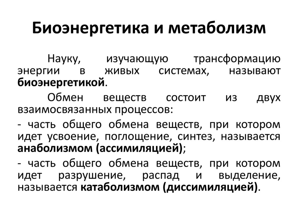 Биоэнергетика и метаболизм
