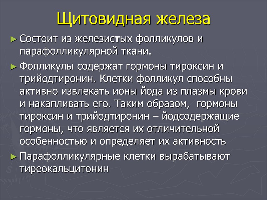 Щитовидная железа