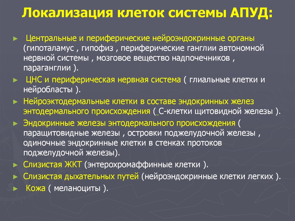 Локализация клеток системы АПУД: