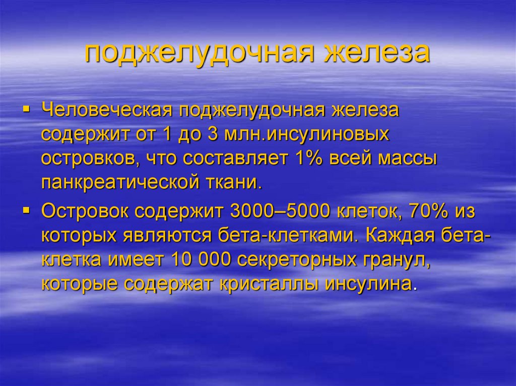 поджелудочная железа