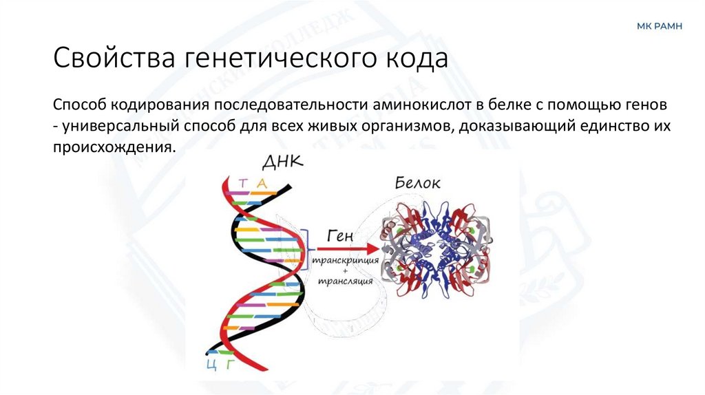 Свойства генетического кода