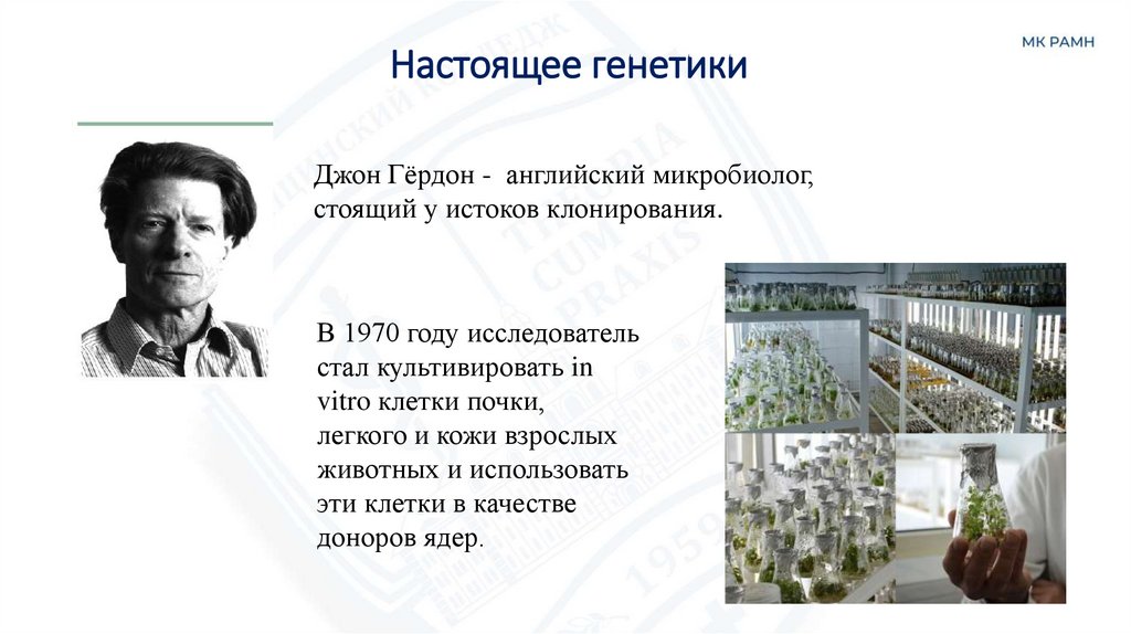 Настоящее генетики