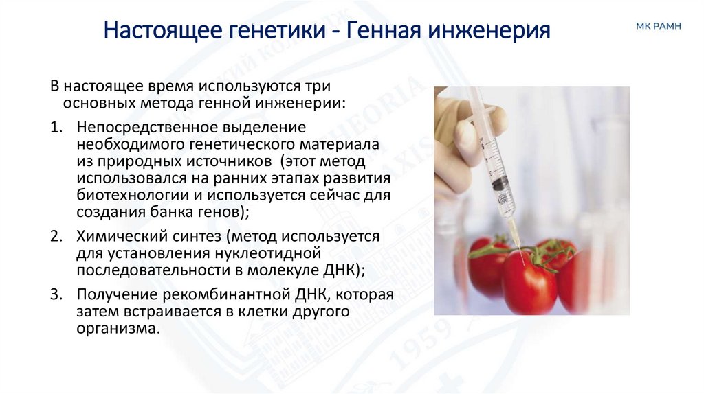 Настоящее генетики - Генная инженерия