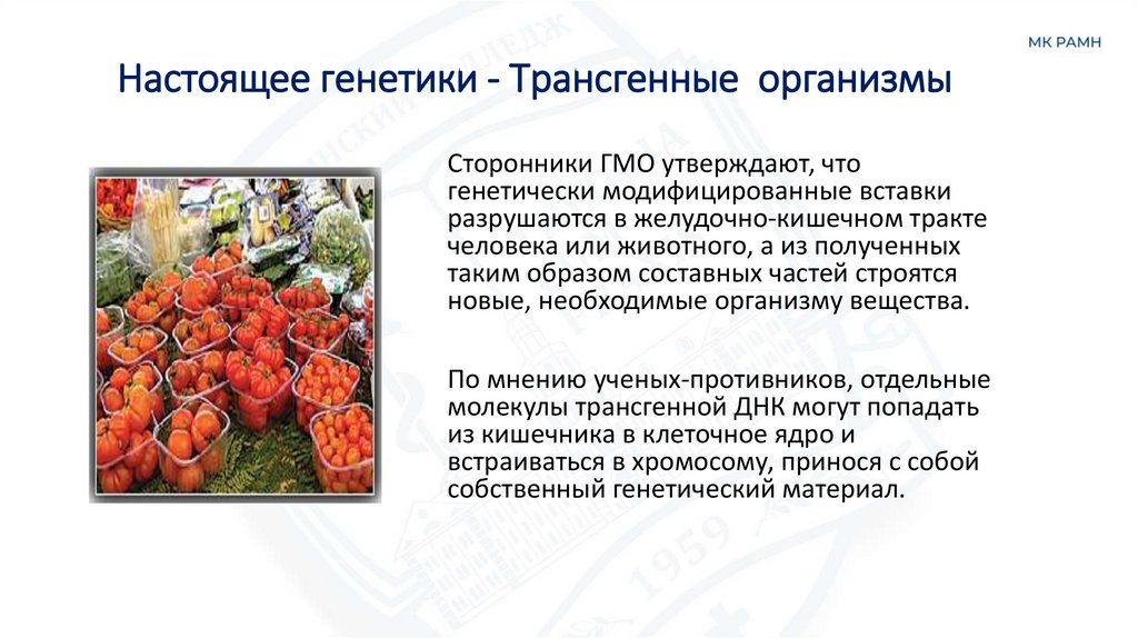 Настоящее генетики - Трансгенные организмы