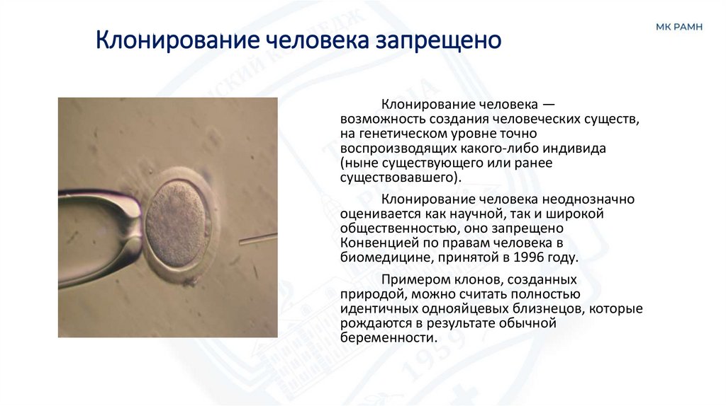 Клонирование человека запрещено