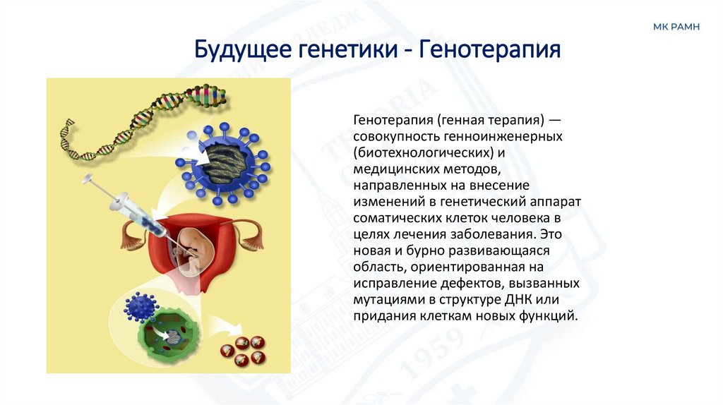Будущее генетики - Генотерапия