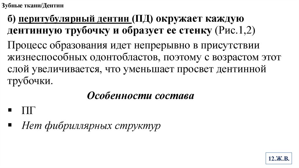 Зубные ткани/Дентин