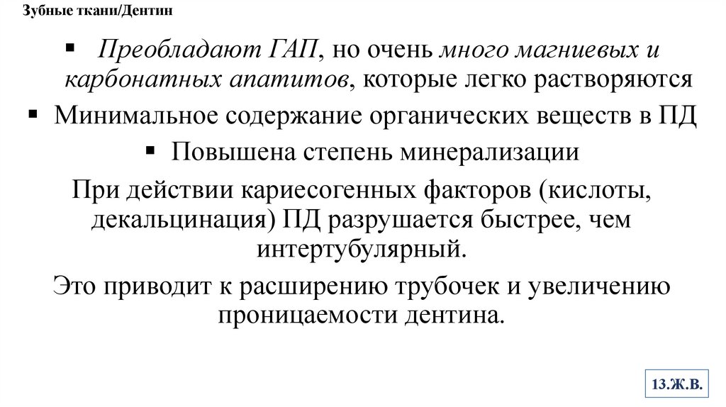 Зубные ткани/Дентин