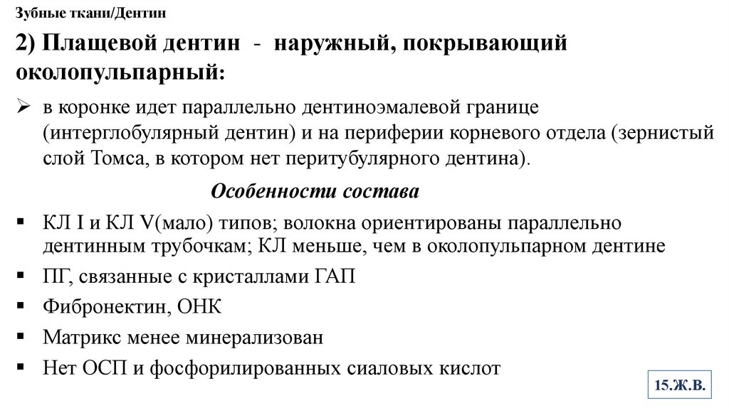 Зубные ткани/Дентин