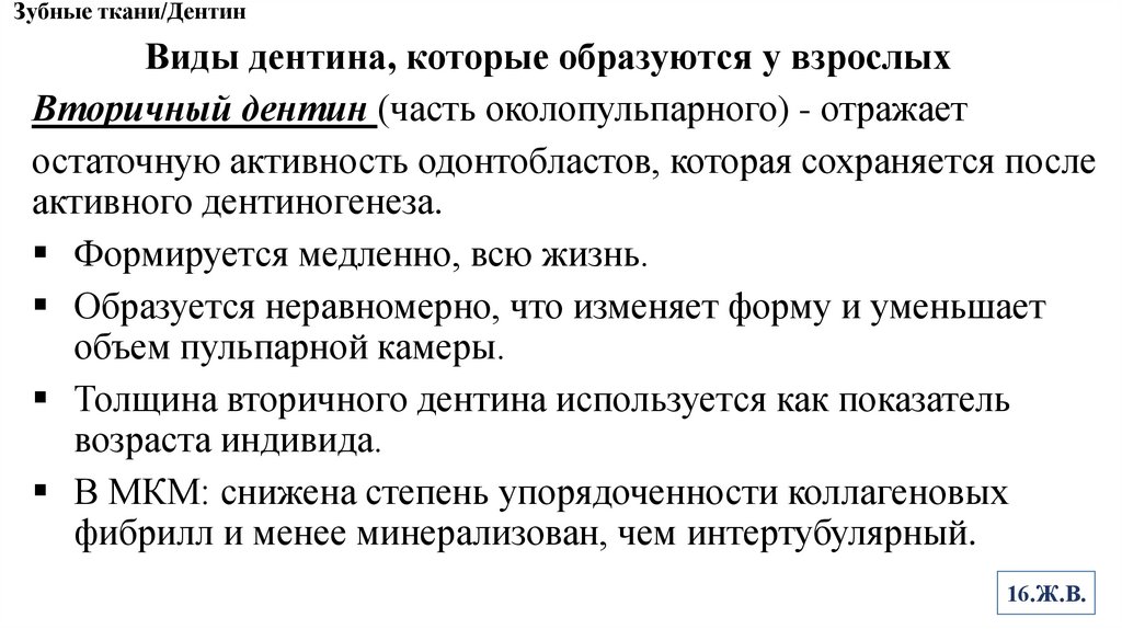 Зубные ткани/Дентин