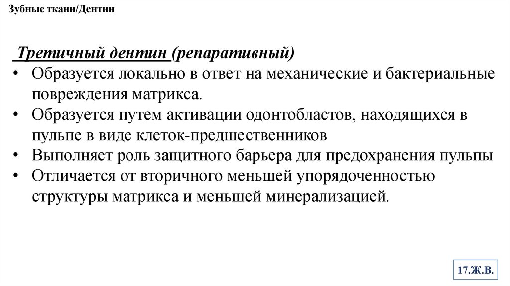 Зубные ткани/Дентин
