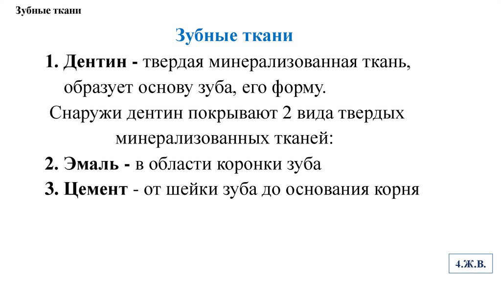 Зубные ткани