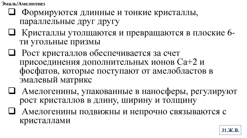 Эмаль/Амелогенез