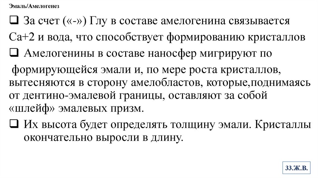 Эмаль/Амелогенез