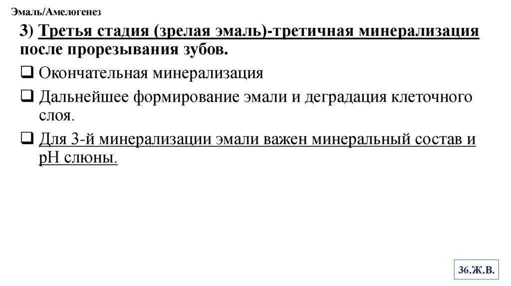 Эмаль/Амелогенез