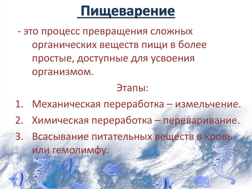 Пищеварение