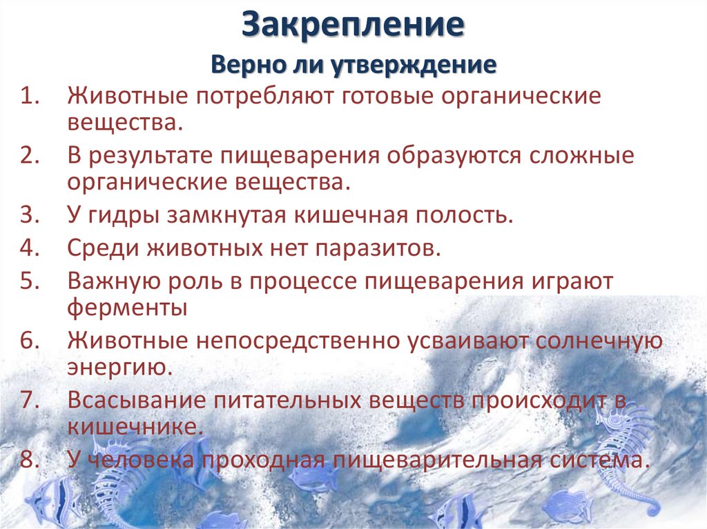 Закрепление Верно ли утверждение