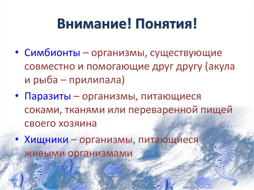 Внимание! Понятия!