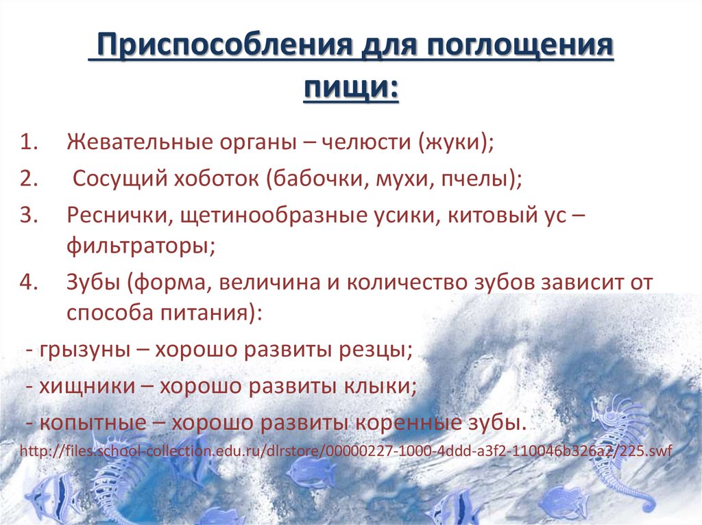 Приспособления для поглощения пищи: