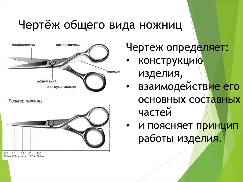 Чертёж общего вида ножниц