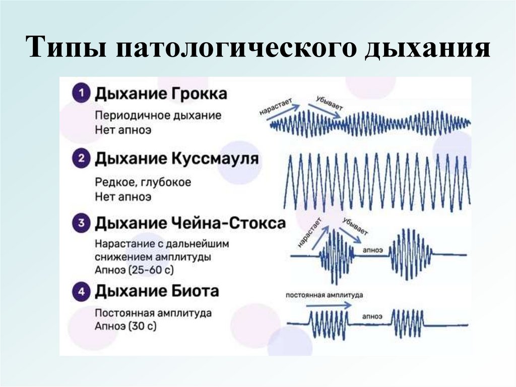 Типы патологического дыхания