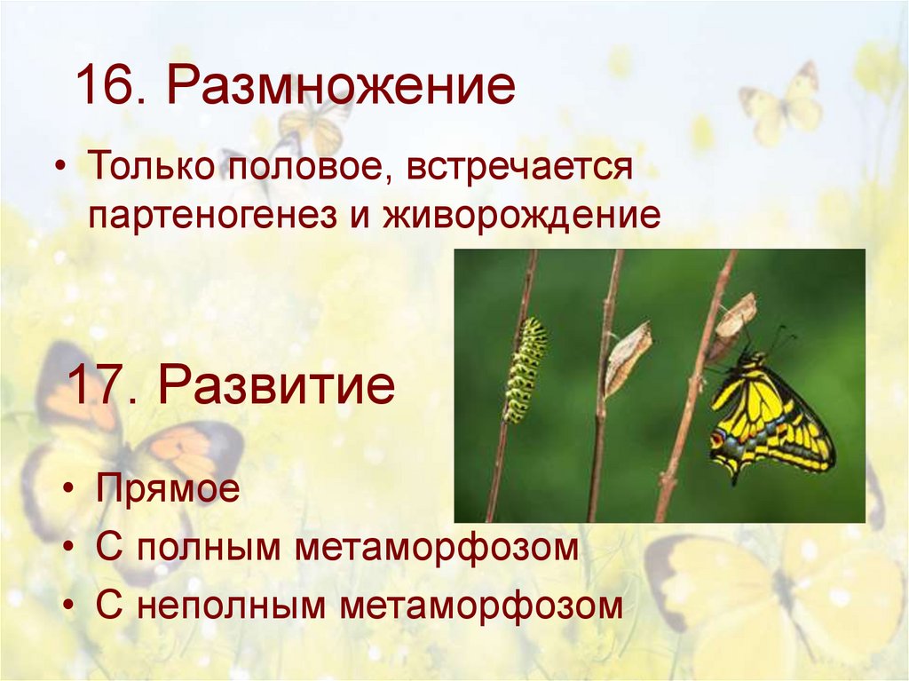 16. Размножение