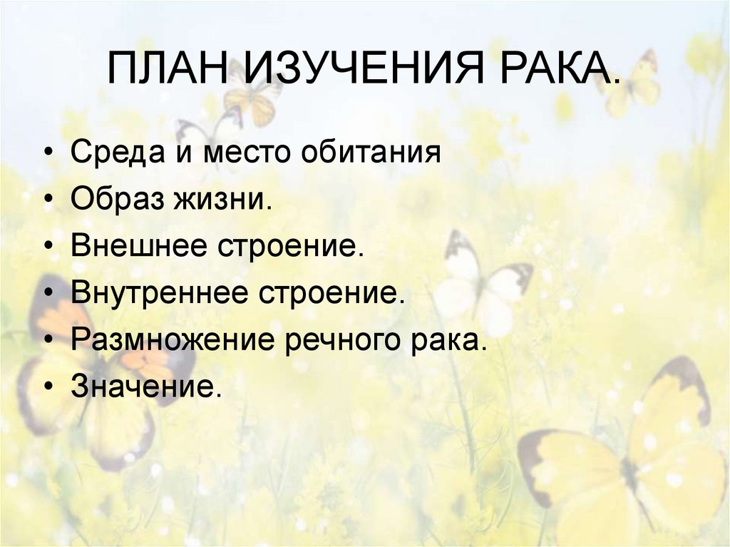 ПЛАН ИЗУЧЕНИЯ РАКА.