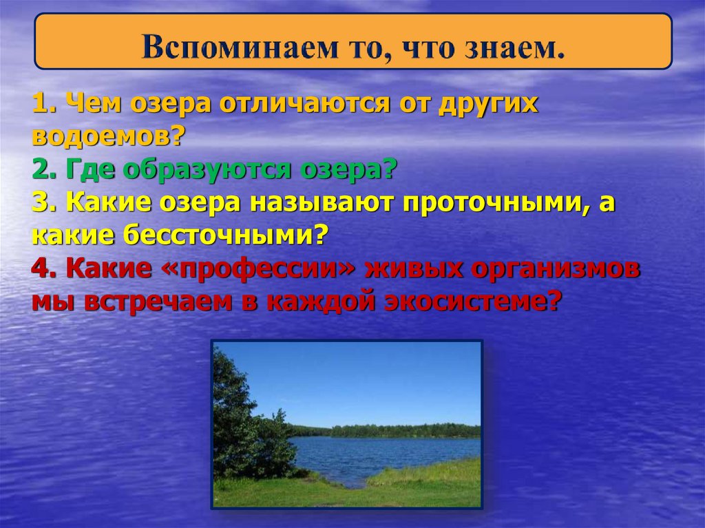 1. Чем озера отличаются от других водоемов? 2. Где образуются озера? 3. Какие озера называют проточными, а какие бессточными?