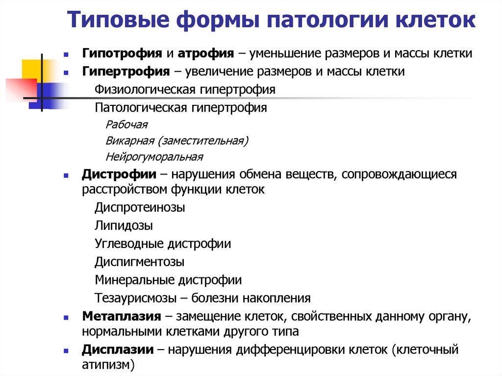 Типовые формы патологии клеток