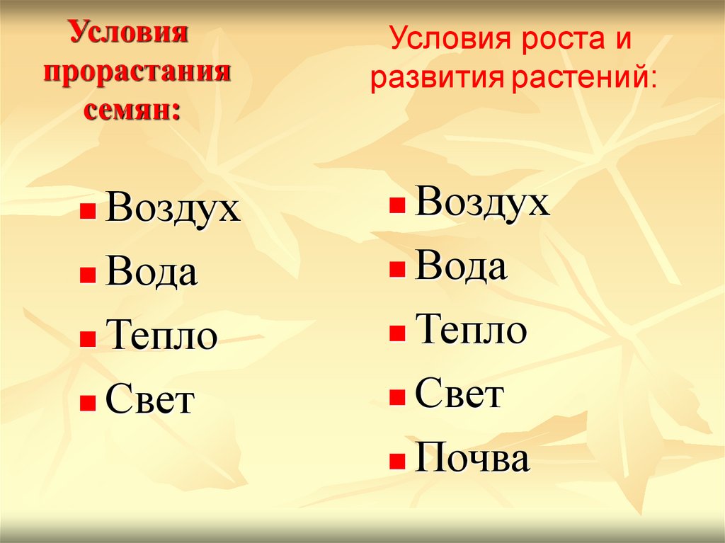 Условия прорастания семян:
