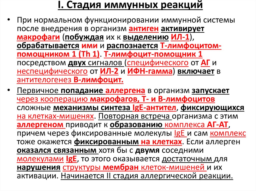 I. Стадия иммунных реакций