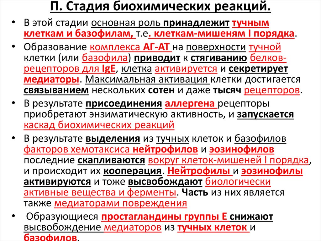 П. Стадия биохимических реакций.