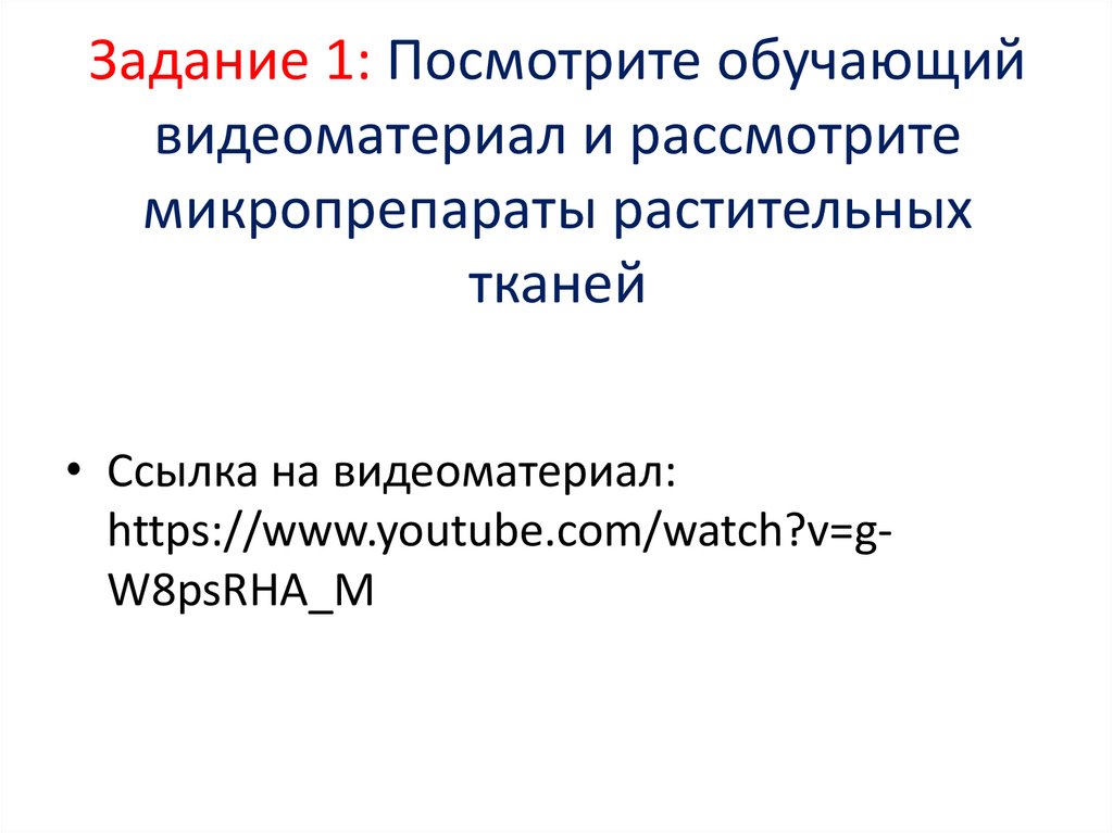 Задание 1: Посмотрите обучающий видеоматериал и рассмотрите микропрепараты растительных тканей