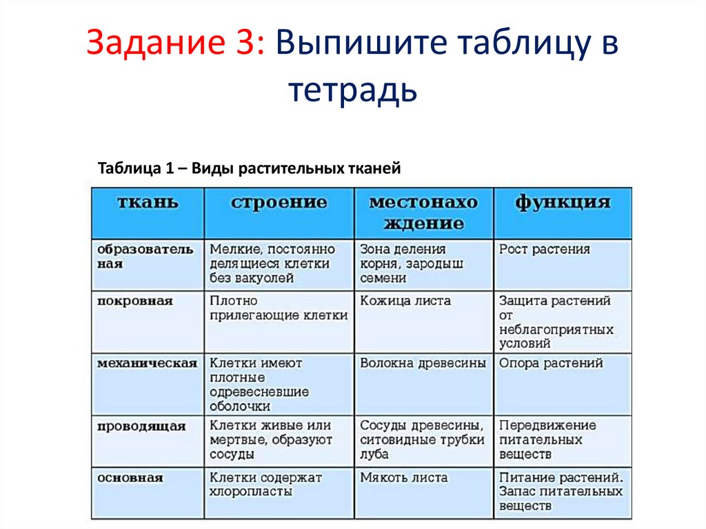Задание 3: Выпишите таблицу в тетрадь