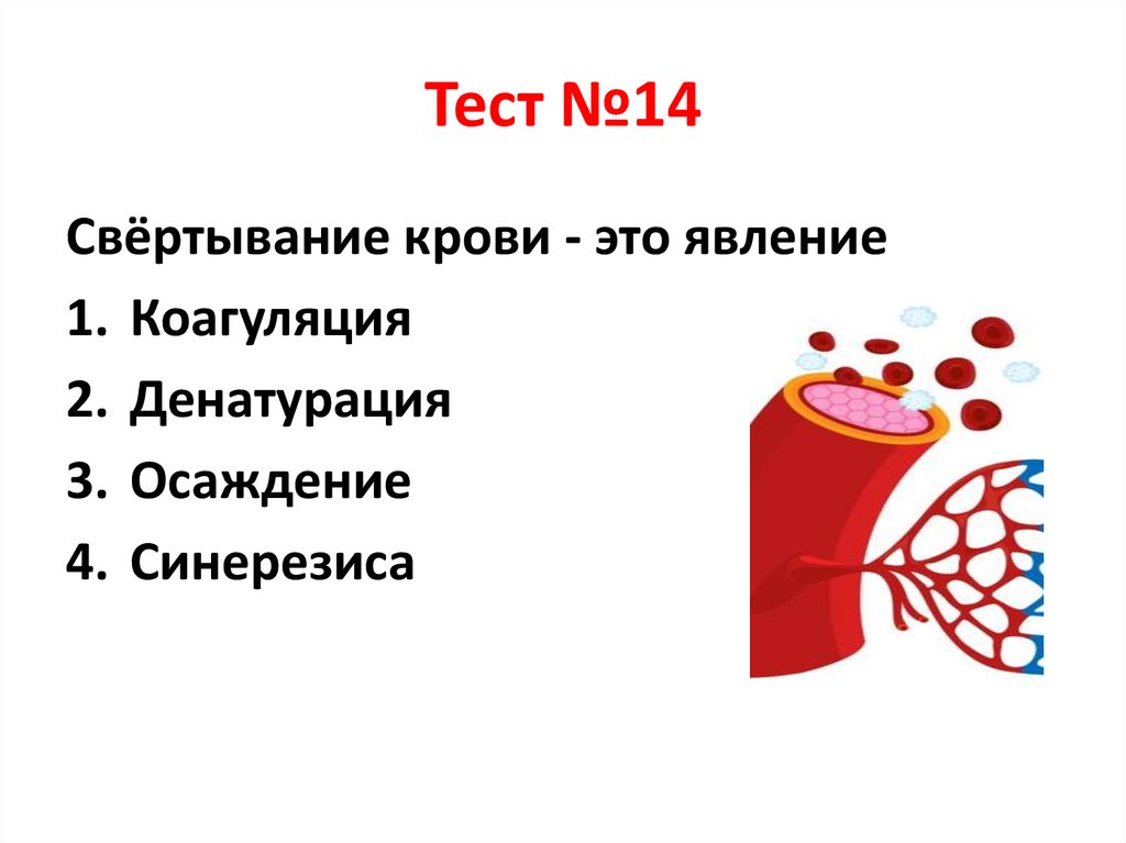Тест №14