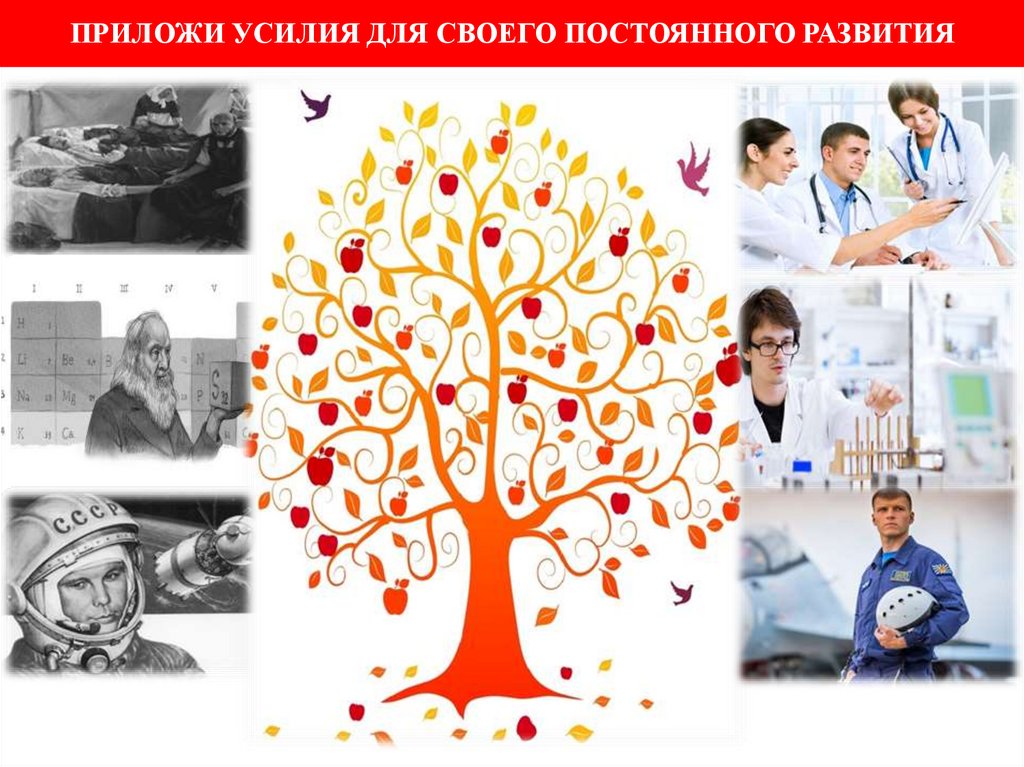 Приложи усилия для своего постоянного развития