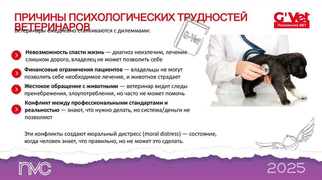 ПРИЧИНЫ ПСИХОЛОГИЧЕСКИХ ТРУДНОСТЕЙ ВЕТЕРИНАРОВ