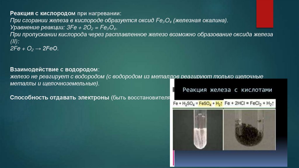 Реакция с кислородом при нагревании: При сгорании железа в кислороде образуется оксид Fe₃O₄ (железная окалина). Уравнение