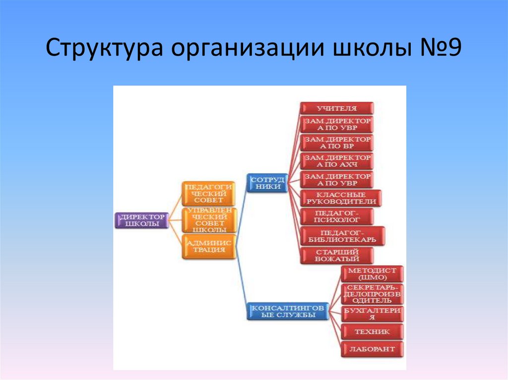 Структура организации школы №9